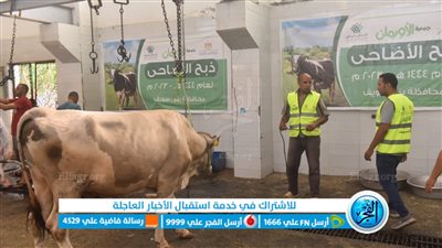 فى أول ايام عيد الاضحى.. الأورمان تبدأ فى ذبح أضاحيها بالفيوم 