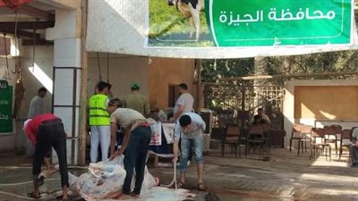 الطب البيطري بالجيزة يذبح 1437 رأس ماشية خلال أول أيام عيد الأضحى 