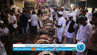 عيد الخير.. المجازر تستقبل المواطنين لذبح الأضاحي