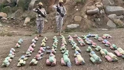 حرس الحدود يحبط تهريب 60 كيلوجرامًا من نبات القات بجازان