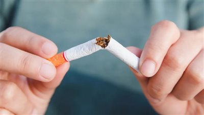 منها الجزر والباذنجان.. استشاري: فواكه وخضروات تساعد في الإقلاع عن التدخين 