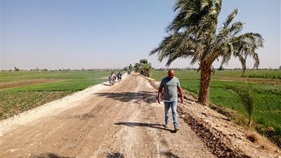 بعد تدعيم خطوط المياه والصرف.. حملات لتمهيد وتسوية الطرق في دشنا