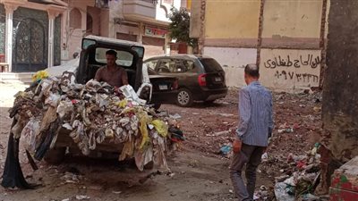 رفع 530 طن قمامة و10 أطنان أتربة في حملات بشوارع الدقهلية (تفاصيل)
