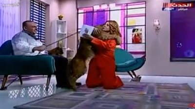 شاهد.. أسد يعض مادلين طبر على الهواء