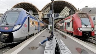 محكمة فرنسية تغرم هيئة السكك الحديدية بسبب قطة