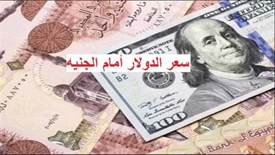 تعرف على سعر صرف الدولار أمام الجنيه المصري اليوم في البنوك المصرية 