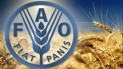 الفاو: استمرار انخفاض أسعار الغذاء في يونيو الماضي