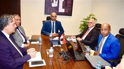 شركات افريقية تبحث ضخ استثمارات بمشروعات تحلية مياه البحر بمصر 