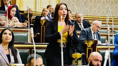 تُحسن المناخ الاستثماري.. نائبة التنسيقية توافق على تعديلات قانون الاستثمار