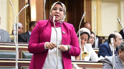 نائبة التنسيقية: قانون التحالف الوطني تجربة فريدة لدعم العمل الأهلي