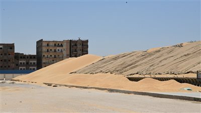 محافظ قنا يتابع توريد محصول القمح ببنكر تخزين قوص