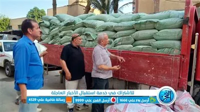 ضبط 181 شيكارة دقيق مدعم قبل بيعها في السوق السوداء ببني سويف