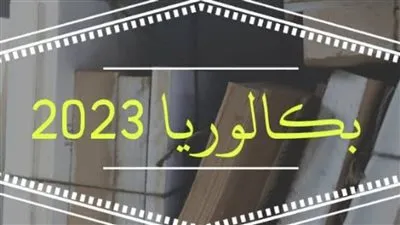 أول طالبة كفيفة مصرية تحصل على شهادة البكالوريا الدولية الـIB