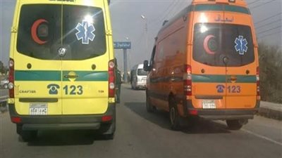 تفاصيل مصرع سيدة دهسا تحت عجلات قطار بالدقهلية 