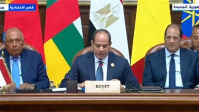 السيسي: قمة اليوم تؤكد الدور المحوري لدول الجوار في حل الأزمة السودانية (فيديو)