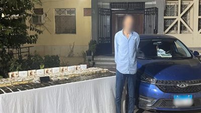 ضبط 500 طربة حشيش تقدر بقيمة 3 ملايين جنيه بالشرقية