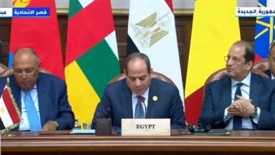 السيسي: أكدنا على الاحترام الكامل لسيادة ووحدة السودان واعتبار النزاع شأن داخلي