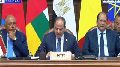 عاجل.. الدعم السريع يرحب بالبيان الختامي لقمة دول الجوار السوداني في القاهرة