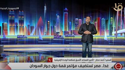 السفير أحمد حجاج: قمة جوار السودان بمصر ستسفر عن خطوات الحسم (فيديو)