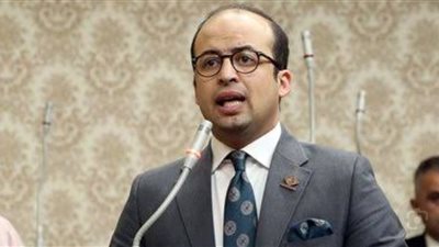 نائب التنسيقية: مصر والسودان مصير مشترك وأمن قومي واحد