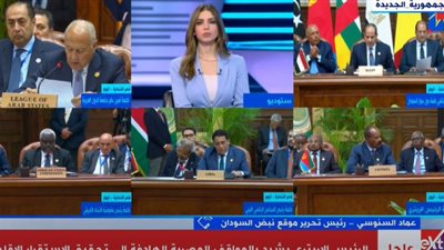 كاتب سوداني: المساعدات لا تصل إلى مستحقيها في السودان (فيديو)