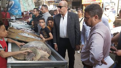 تحرك الحكومة.. القصة الكاملة حول سلحفاة المطرية