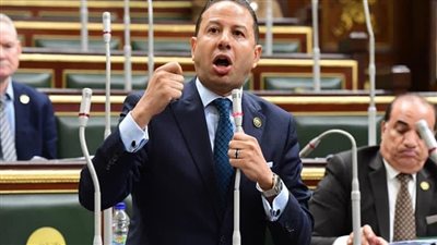 برلماني: كلمة الرئيس بقمة نيروبي عكست أولويات الدولة المصرية