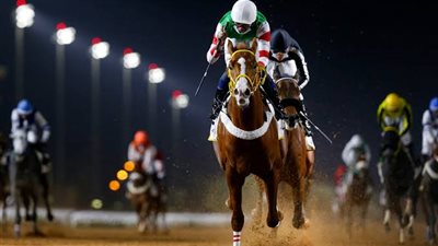 دولي سباقات الخيل يُرقِّي كأس المنيفة إلى تصنيف الفئة الأولى