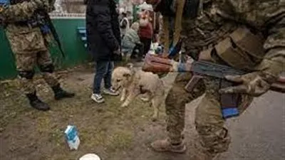 وسائل إعلام: 10 آلاف جندي أوكراني فقدوا أطرافهم في الحرب