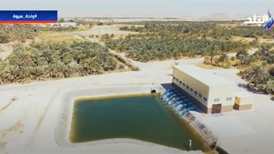 موسى: إنشاء طريق بطول 200 كيلومتر لخدمة زراعات سيوة (فيديو)