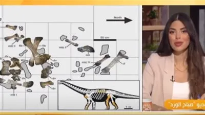 سيد الواحة المنسي.. تعرف على تفاصيل ديناصور مصري جديد (فيديو)