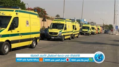 بسبب تناول بزور الخروع.. إصابة 7 أطفال بالتسمم في الإسماعيلية