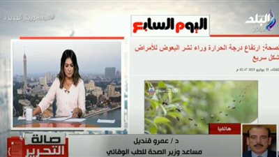 هل ينقل البعوض في مصر أمراضًا خطيرة؟.. مساعد وزير الصحة يكشف (فيديو)