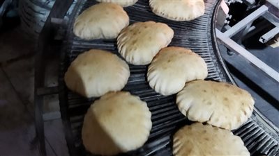 تحرير 356 محضرا تموينيا متنوعا في الإسكندرية