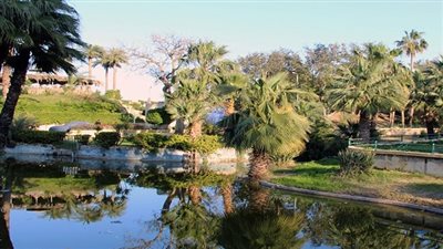 حديقة الشلالات بالإسكندرية.. عرين ذكريات السكندريين صممها مهندس أمريكي منذ 125 سنة