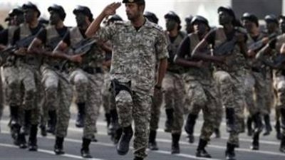 الدفاع: سقوط مقاتلة 