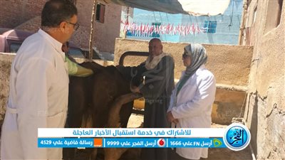 محافظ قنا: انطلاق الحملة القومية للتحصين ضد مرض طاعون المجترات الصغيرة