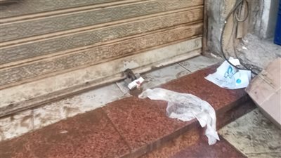 استجابة لشكاوى المواطنين..غلق وتشميع 9 منشأت مخالفة بعمرانية الجيزة