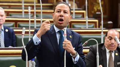 برلماني: توقيع 12 اتفاقية بين مصر والأردن ضخ لدماء جديدة في مسار التكامل العربي