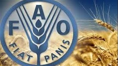 ”الفاو” تخطط للمشاركة في تنفيذ 12 مشروعًا لتعزيز الأمن الصحي