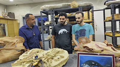 جامعة المنصورة: دعم مادي كبير للرحلات الاستكشافية الأخيرة