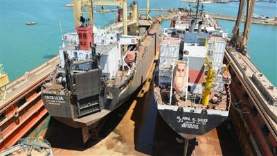 رئيس قناة السويس: الهيئة تمتلك شركات منذ 152 عاما ونعمل على تطويرها (فيديو)