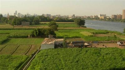 الري: لا نستخدم مياه النيل في زراعة الأراضي الجديدة (فيديو)