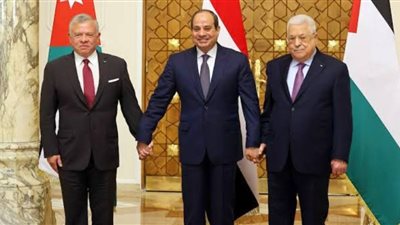 نائب التنسيقية: قمة العلمين امتداد للجهود المصرية لحل الأزمة الفلسطينية