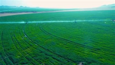 أستاذ زراعة: مصر لم تواجه مشكلة في الأغذية رغم الأزمات العالمية (فيديو)