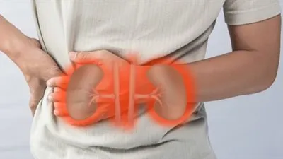 بعد وفاة والدة أحمد شيبة به.. كل ما تريد معرفته عن مرض القصور الكلوي