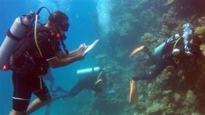 نقيب المرشدين السياحيين: تدشين متحف تحت المياه للغطاسين لحماية الشعب المرجانية (فيديو)