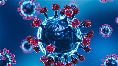 خلال 28 يوم.. المتحدث باسم وزارة الصحة يوضح الوضع الحالي للمتحور EG.5