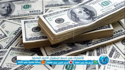 سندات الجنيه تلقي الرعب في السوق السوداء وعمليات بيع قوية للدولار 