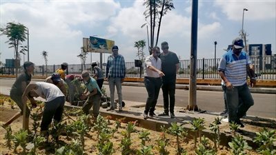 رئيس جهاز مدينة 